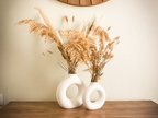 Vaso HALO
